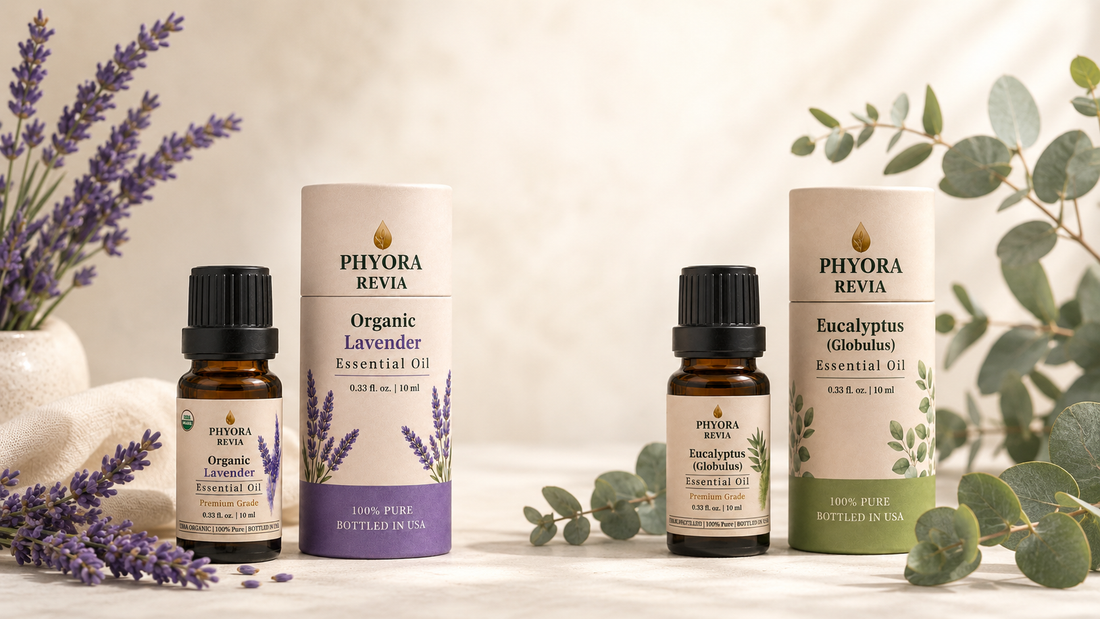 Lavender vs. Eucalyptus Essential Oil: Which One Should You Choose?